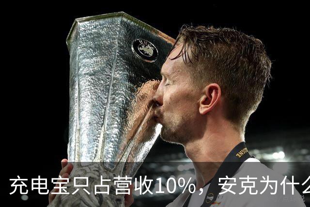 充电宝只占营收10%，安克为什么还要招这么多人？